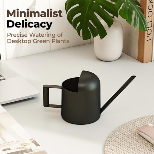 Small Watering Can Indoor Outdoor Plant Black Metal Stainless Steel Long Spoutt Flowers Watering Cans for House Garden Plants 10OZ Watering Bottle Cute Decorative for Bonsai - view 3