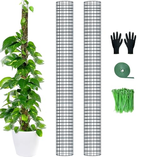 60" Metal Moss Pole, 2 Pack Moss Poles for Plants Monstera, Stackable Sphagnum Moss Pole, Plant Poles for Climbing Plants Work with Sphagnum Moss(2 Pack 60")