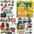 Premium 4 Varieties & 6 Bonsai Tree Starter & 4 Bonsai Tree Starter & Gold Yarrow 1,600 Seeds Kit