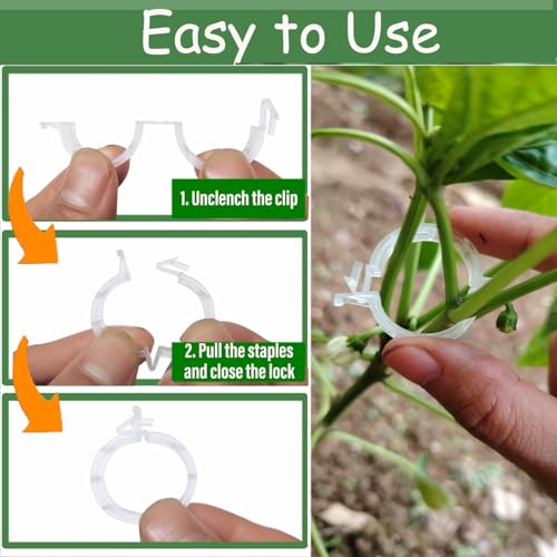 150pcs Plant Support Clips - Tomato Clips for String Trellis, Grape Vine Clips for Garden Netting Climbing Plants, Secured Plastic Plant Clip for Fixing Stem and Vine - view 2
