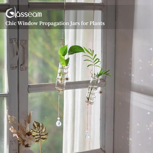 4 Pack Hanging Plant Propagation Stations with Crystal Suncatchers - view 6