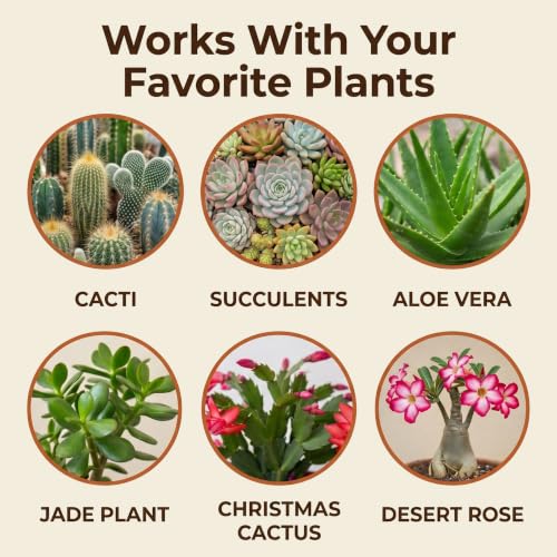 Cactus & Succulent Potting Soil Mix, Fast Draining, Made in USA, 4 Quarts - view 4