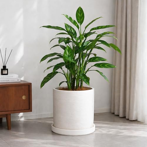 Ceramic Plant Saucer/Drainage Tray, 11.8 in, White, 97-T-A-6 - view 5