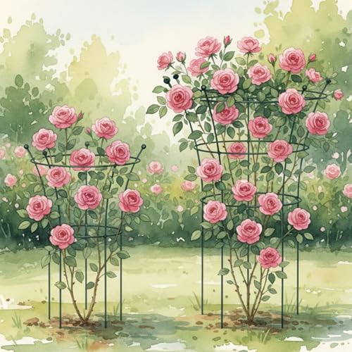 Peony Cages and Supports 2 Pack, Heavy Duty Metal Flower Support Cage, 24"(W) x 36" (H) Trumpet Plant Support for Peonies, Roses, Perennials & Garden Flowers, Rust-Resistant Steel Plant Support Ring - view 6
