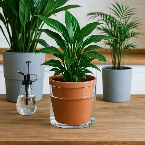 Self Watering Terracotta Planter Pot, 6 in, 2-Pack, 37-Y-B-1 - view 2
