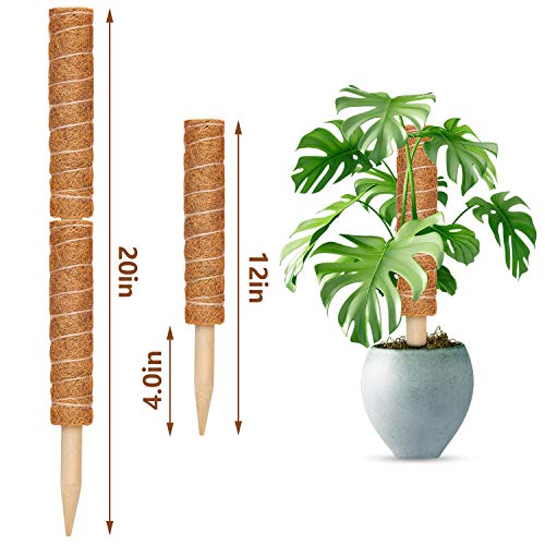 Coir Totem Pole for Climbing Plants, 2 Pcs 12'' Coir Moss Totem Stick - view 2