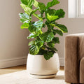 Ceramic Planter, 12 Inch, Large Plant Pot, Reactive Glaze Beige