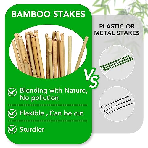 40 Pack Bamboo Stakes for Plant 5 Feet(57.5inch), Bamboo Sticks Plant Support Garden Stakes Poles with 200pcs Twist Ties for Tomatoes, Beans, Potted Plants, Indoor and Outdoor Climbing Plants - view 3