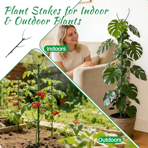 Monstera Plant Support Stakes, 30 Pcs Stackable Plant Support Stakes Sticks Poles for Indoor & Outdoor Plants, Climbing and Potted Plants, Stem Supports, Pothos - view 3