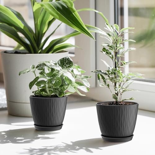 6 inch Plant Pots, 5 Pack Flower Pots with Drainage Holes and Saucers for Indoor Plants, Plastic Planters with Water Ripple for Small Garden House Plants, Nursery Pots for Succulent, Black - view 7