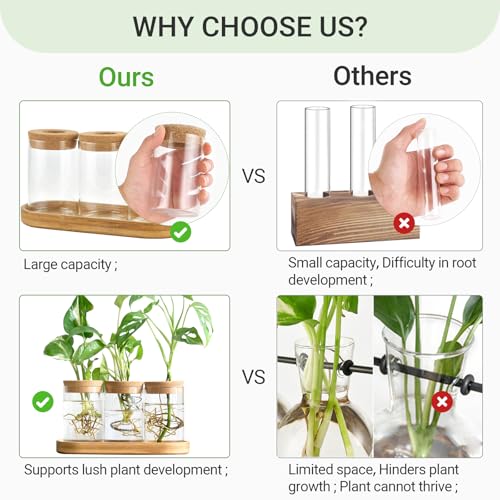 Plant Propagation Stations, 3 Pcs Glass Vases with Wooden Stand & Lid - view 5