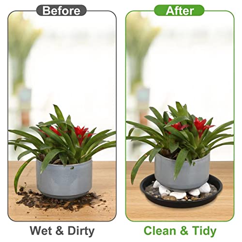 6Pack 8,10,12Inch Plastic Drip Trays Plant Saucers for Indoors Outdoor Plant, Thick Heavy Durable Sturdy Flower Pot Trays for Pots Planter, Black… - view 4