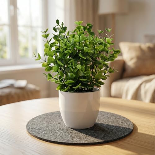 16 Pieces 4 Sizes Felt Plant Coasters, Extra Thick 4/6/8/10 Inch Planter Coaster, Absorbent Fabric Plant Mats, Plant Coasters for House Plants - view 3