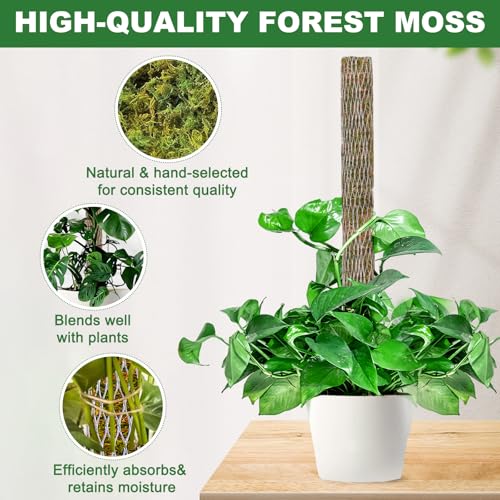 Moss Pole for Plants 2 Pcs 13+16 Inch Modern Mesh Design Green Moss and Plastic Plant Support Extension - view 2