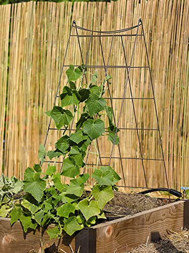 Gardeners Supply Company Wire A-Frame Trellis | Strong and Sturdy Metal Outdoor Garden Trellis Plant Support for Cucumbers, Squash, Vine Herbs & Other Climbing Plants - view 4