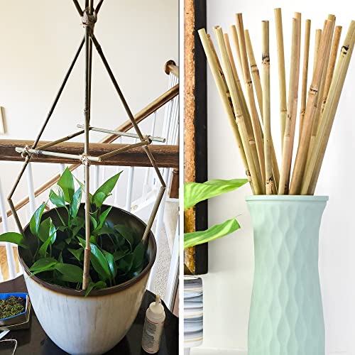 50Pcs Garden Stakes, 0.32”/16 Inch Bamboo Sticks，Natural Plant Stakes for Indoor and Outdoor Plants，Poles for Tomatoes, Beans, Potted Plants - view 6