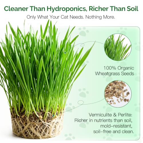 Cat Grass Growing Kit – 6 Cans, Non-GMO Organic Wheat Seeds - view 2