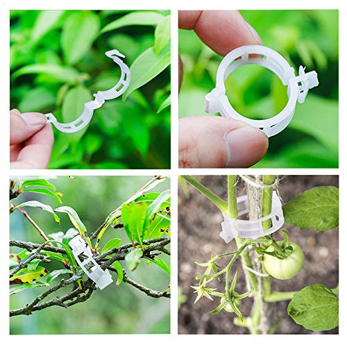 300 PCS Plant Support Garden Clips,Tomato Vine Clips,Durable Crop Clips in White for Flower Vine Twine Tomato Orchid to Grow Upright and Healthier - view 7