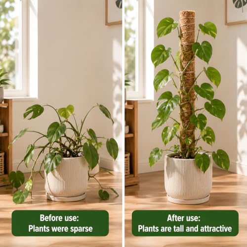 4 Pcs 15in Stackable Support，Moss Poles for Climbing Plants - view 7