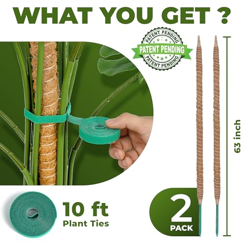2 Pack 63 Inch Bendable Moss Pole Monstera Plant Support Stakes for Indoor Plants - Tall Moss Stick Trellis for Potted Climbers - Stem Support Accessories for Climbing Houseplants - view 2