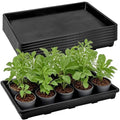 6 Pack Nursery Potting Trays with No Drain Holes