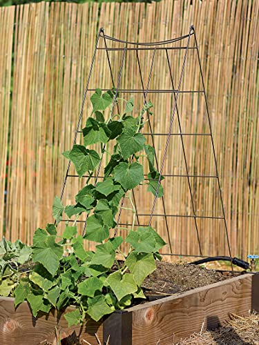 Gardeners Supply Company Wire A-Frame Trellis | Strong and Sturdy Metal Outdoor Garden Trellis Plant Support for Cucumbers, Squash, Vine Herbs & Other Climbing Plants - view 3