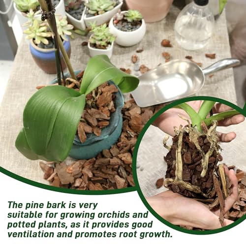 3 Quart Organic Orchid Bark for Potting-Natural Orchid Mulch for Potted Plants, Root Development of Orchid Plants and Garden Soil Amendment Mix - view 3