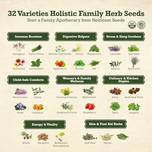 Lush&Dew Holistic Family Apothecary Seed Chest, 30000+ Medicinal Herb Seeds - view 2