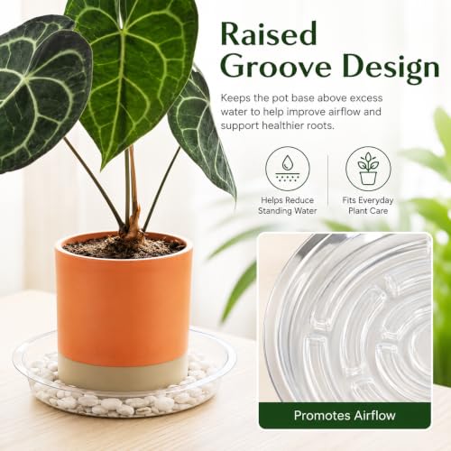 Heavy Duty Clear Plastic Plant Saucers, Flower Pot Tray - Excellent for Indoor & Outdoor Plants (8-Inch, 10-Pack) - view 3