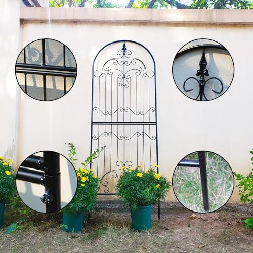 Wrought Iron Garden Trellis for Climbing Plants, 70.8" H x 25.6" W - view 4