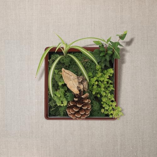 4pcs Plastic Plant Pot Trays, Reusable Soil Containment Bonsai Base - view 5