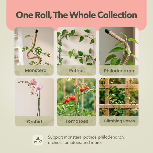 Plant Tape 10 ft, Reusable Hook & Loop Ties for Climbing Plants - view 4