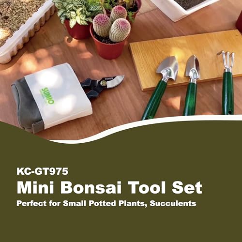Mini Garden Tool kit, Desk Indoor Plant Tool Set, Portable Garden Tool Set, Succulent Tools Kit, Office Planting - view 5