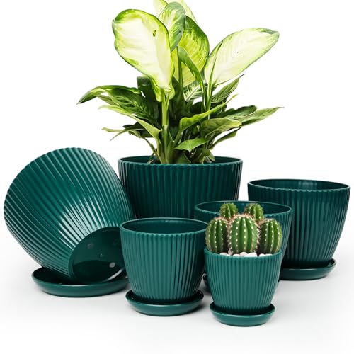Plant Pots Indoor with Saucers & Drainage - 6 Pack Flower Pots - Plastic Planters for Indoor Planter - 7.5/6.6/5.8/5.0/4.3/3.5 inches Sizes for All Different Types of Plants-Dark Green