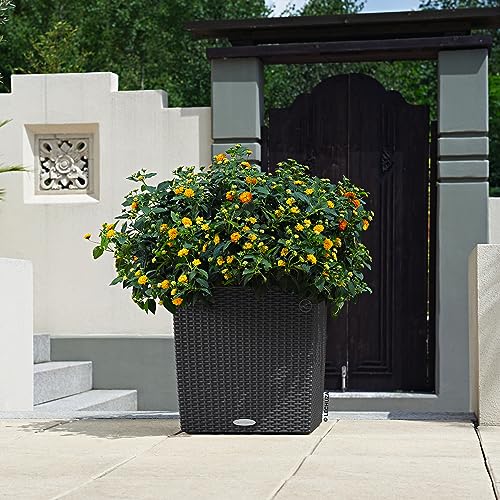 Cube Cottage 40 Granite, Self-Watering Square Planter, H15.7 L15.4 W15.4 in - view 6