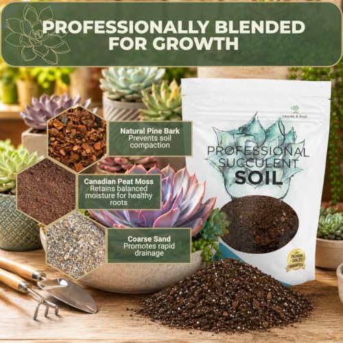 Professional Succulent Soil Mix Large 2.2 Quarts Ready to Use, Premium Potting Soil for Succulents and Cactus, Fast Draining Blend Canadian Peat Coarse Sand Pinebark Indoor Made in USA - view 3