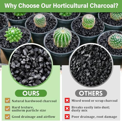 2 QT Horticultural Charcoal- Natural Biochar Soil Amendment - view 4