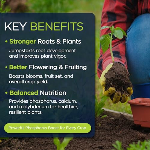 0-45-0 Triple Superphosphate with 13.5% Calcium | High Phosphorus Bloom Booster Fertilizer for Indoor Plants, Flowers, Orchids, Citrus, Lawns, Vegetables & Fruit Trees (10 Pounds) - view 5