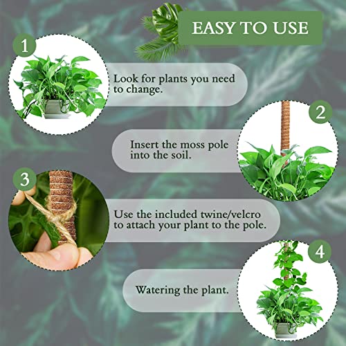 2 Pack Moss Pole for Plants Monstera - 25 Inch Plant Stakes for Indoor, Moss Poles for Climbing Plants, Handmade Coco Coir Pole Plant Support for Creeper Plants Grow Upwards（Handmade Palm） - view 4