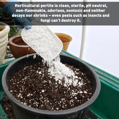 Norcal Perlite Horticultural Organic Certified Premium Screened Coarse Garden Indoor Outdoor Plants Soil and Drainage 4 Cubic Feet (103 Quarts) 1 Bag NEW - view 6