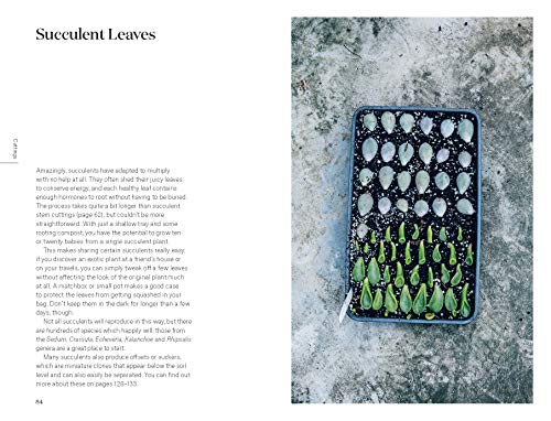 Root, Nurture, Grow: The Essential Guide to Propagating and Sharing Houseplants - view 7