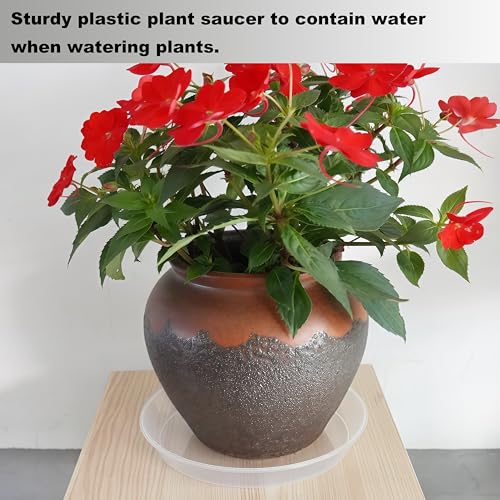 Plant Saucer Tray 12 inch 2 Pack Plastic Plant Trays Saucers for Indoors Outdoor, Heavy Duty Drainage Drip Water Trays for Planter Pots Flower, Round Pebble Tray, Pots Base (12", Clear) - view 7