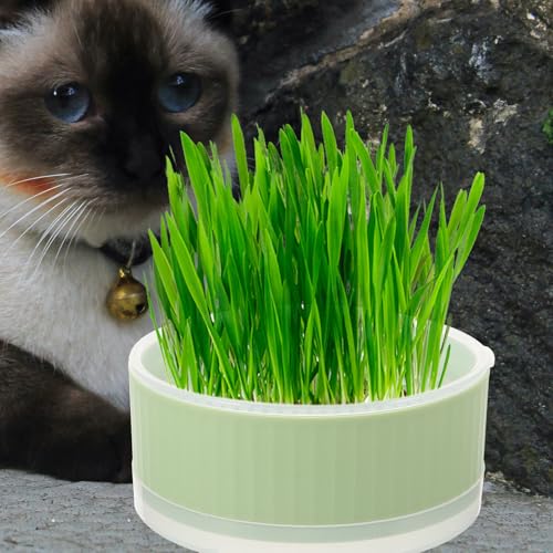 Cat Grass Planter Box Plastic Soilless Hydroponic Growing Kit for Cats - view 4