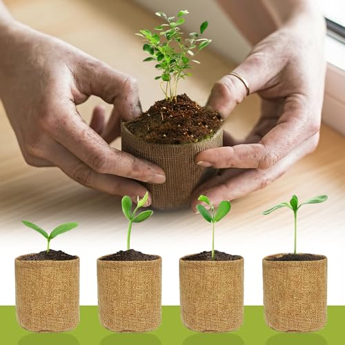 Premium Bonsai Kit,Complete Bonsai Starter Kit with Wooden Gift Box,repotting mat, Burlap Pots & Gardening Tools, DIY Bonsai Plant Set for Adults & Beginners (Seeds Excluded)Birthday Thanksgiving gift - view 6