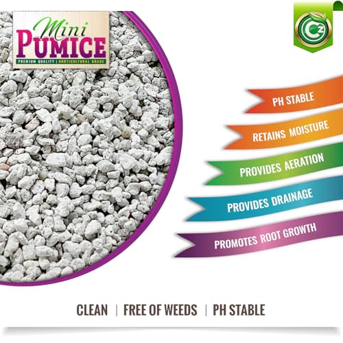 Pumice Stone Grow Media - Made in USA - OMRI Listed - Bonsai • Succulents • Cactus • Orchids - Horticultural Soil Amendment Additive Conditioner for Indoor/Outdoor Plants and Organic Gardens. - view 2