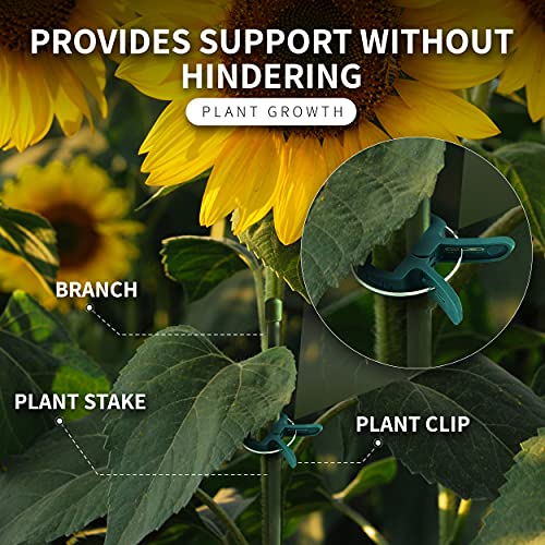Plant Clips 40 Piece Green Gentle Gardening Plant & Flower Lever Loop Gripper Clips, Tool for Supporting or Straightening Plant Stems, Stalks, and Vines, Garden Clips - view 5