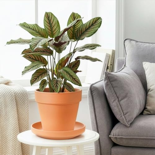 4 Pack Terracotta Pot Saucer, 9 Inch Large Round Terra Cotta Plant Saucers for 8 Inch 8.5 Inch 9 Inch Flower Pot with Drainage Hole, Clay Drip Tray Planter Water Tray for Indoor Outdoor Plants - view 6