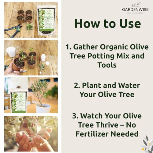 Organic Olive Tree Potting Mix – Fast-Draining, Nutrient-Rich Soil for Indoor & Outdoor Olive Trees – Mediterranean Plant Care – Long-Lasting Formula (4 QUARTS) - view 6