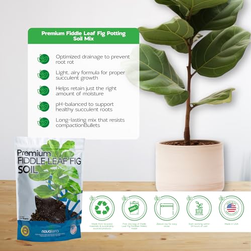 Novaterra Fiddle Leaf Fig Potting Soil Mix for Ficus Lyrata, 2.4 Quarts - view 2