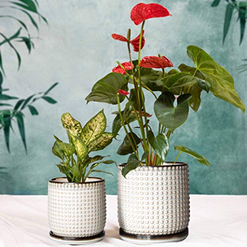Beaded Ceramic Planter Pots, 4/6 in, Smoked White, 27-D-U-1 - view 6